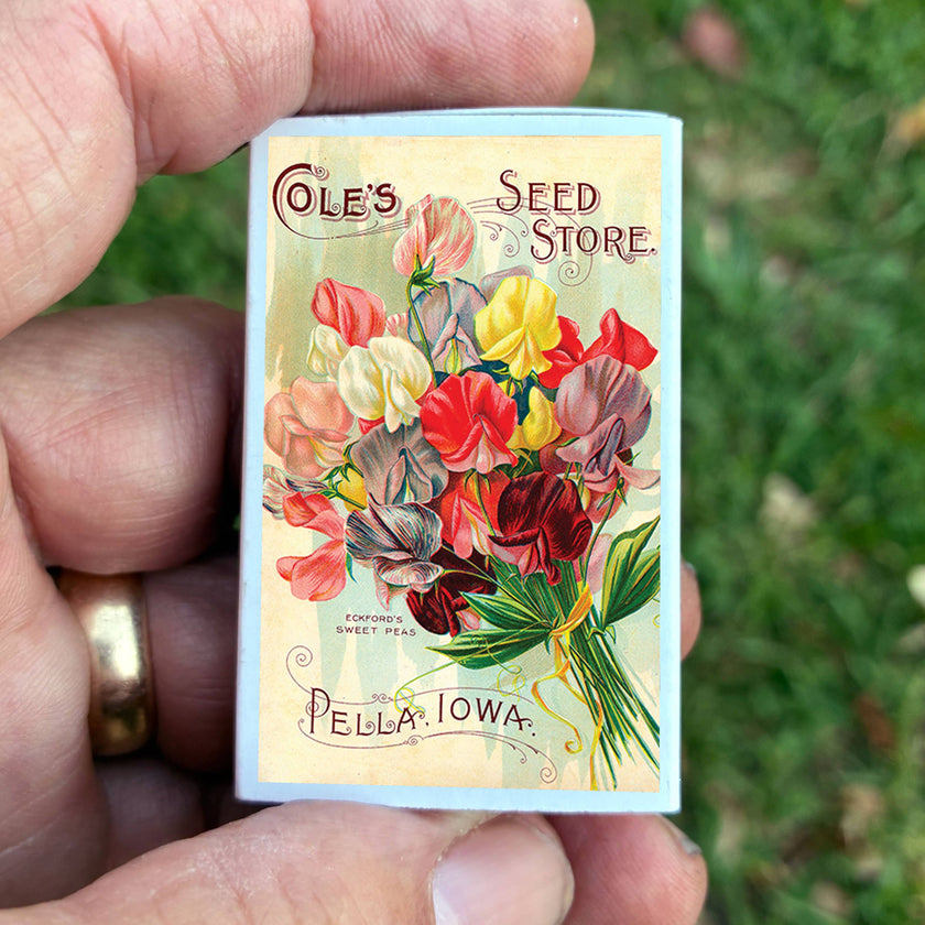 Matches • Sweet Pea Flowers • Home Decor for Candles