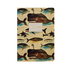 Whales Notebook