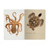 Deep Sea Notebook