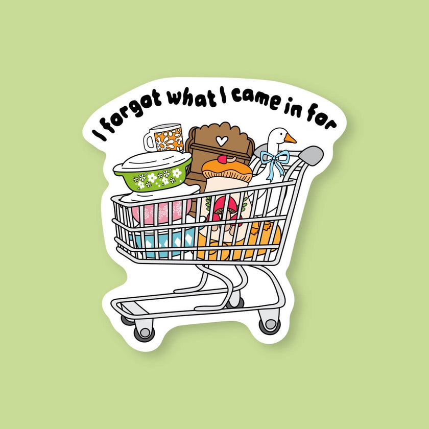 I forgot what I came in for, thrifty silly goose sticker