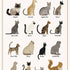 Cats Puzzle – 500 Pc Tube with Vintage Illustrations