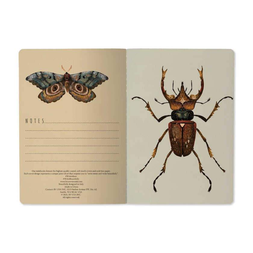 A5 Notebook -  Entomology