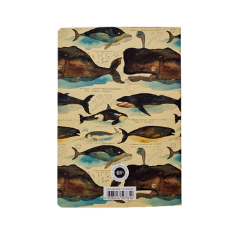 Whales Notebook