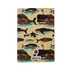 Whales Notebook