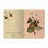 A5 Notebook - Wild Strawberry
