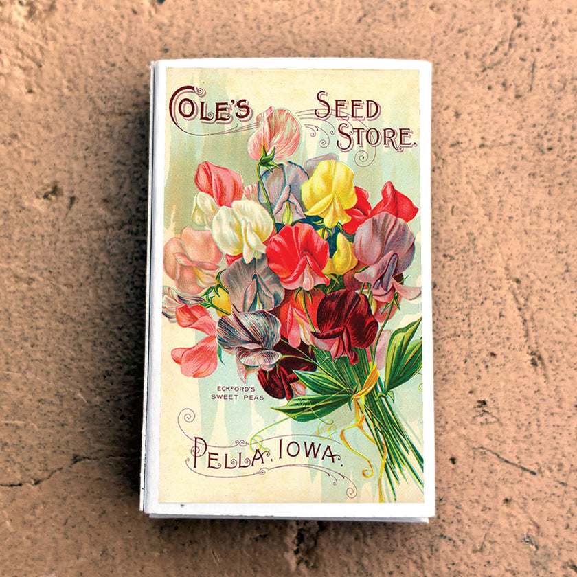Matches • Sweet Pea Flowers • Home Decor for Candles
