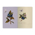 A5 Notebook - Wild Blueberry