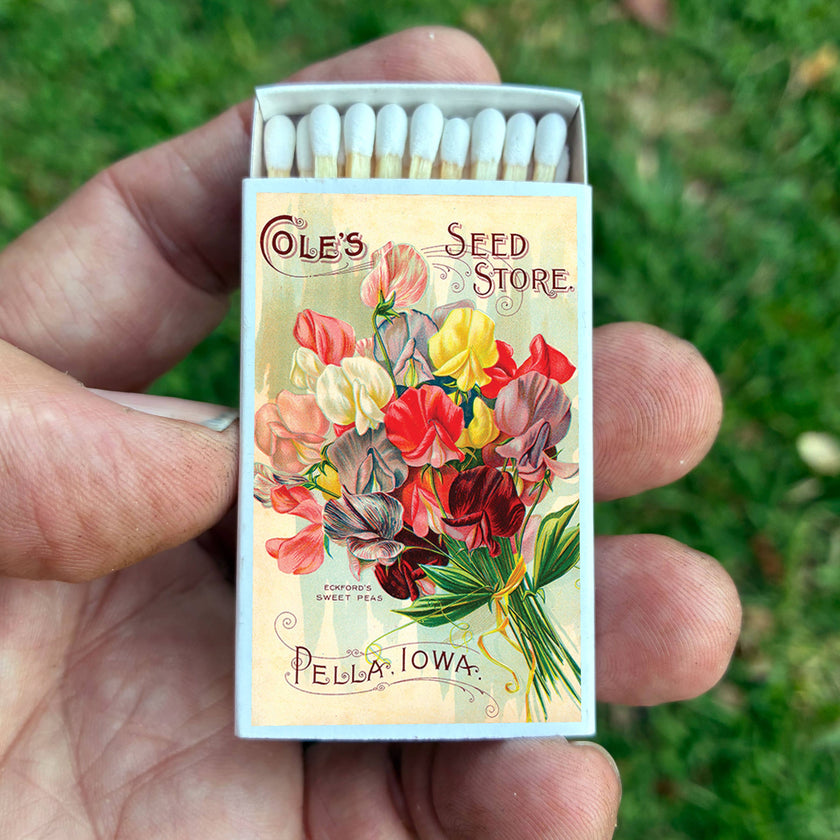 Matches • Sweet Pea Flowers • Home Decor for Candles