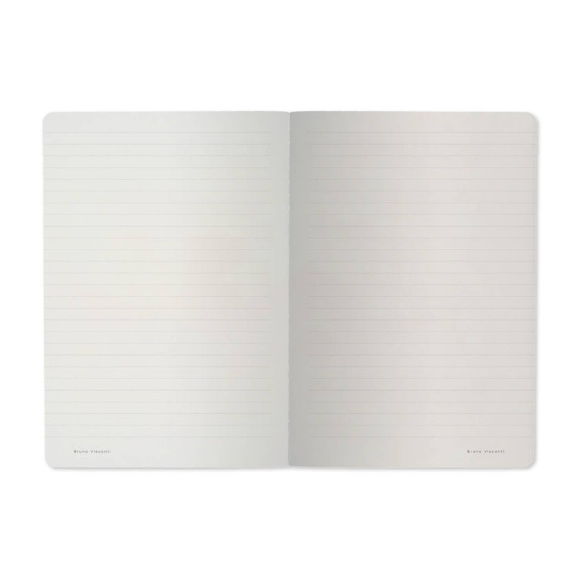 A5 Notebook -  Entomology