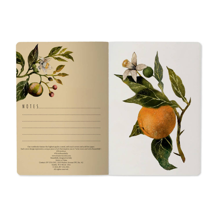 A5 Notebook -  Oranges and Blossoms