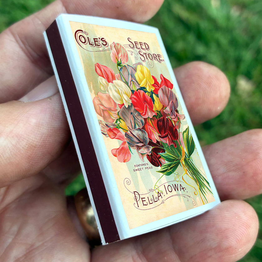 Matches • Sweet Pea Flowers • Home Decor for Candles