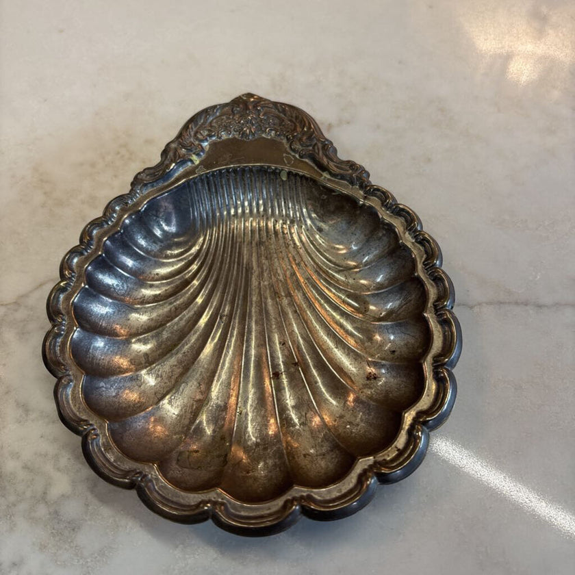 Seashell Tray