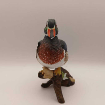 porcelain duck