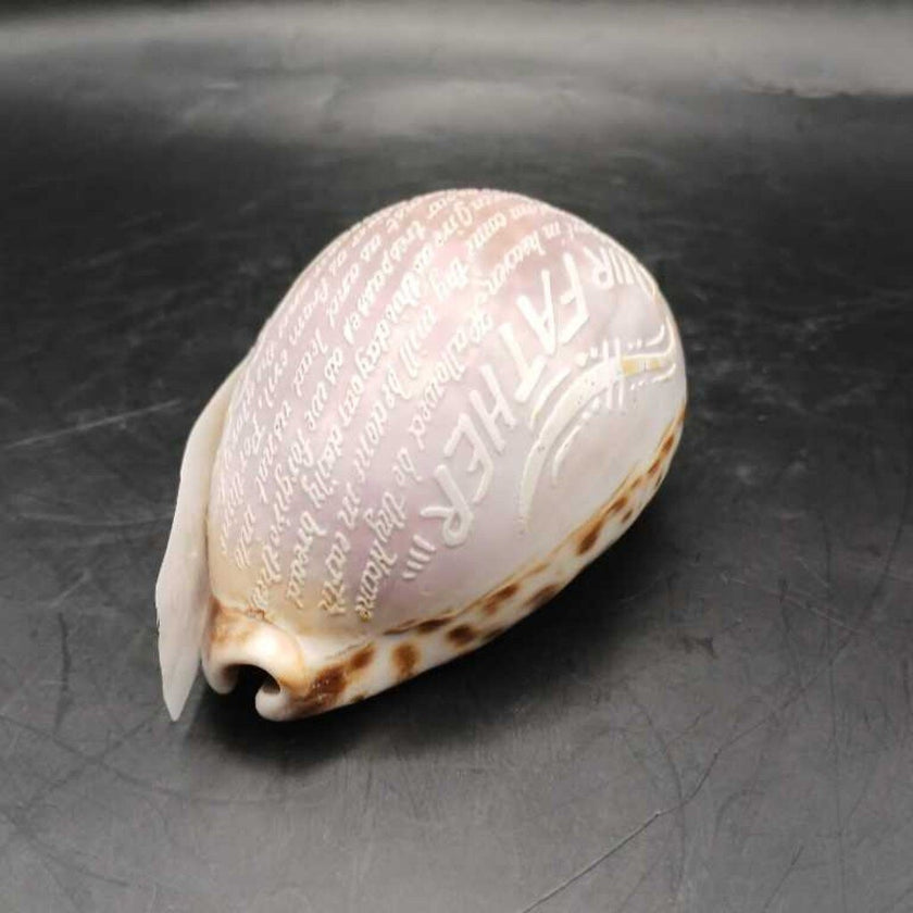 Lord's Prayer Cowrie Shell