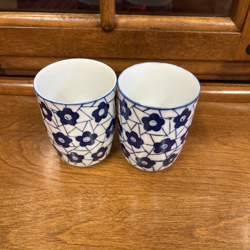 Japanese Ceramic Sake Set of 2