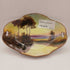 Noritake hand painted dish