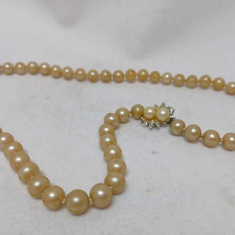 Pearl Necklace