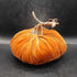 SM velvet pumpkin