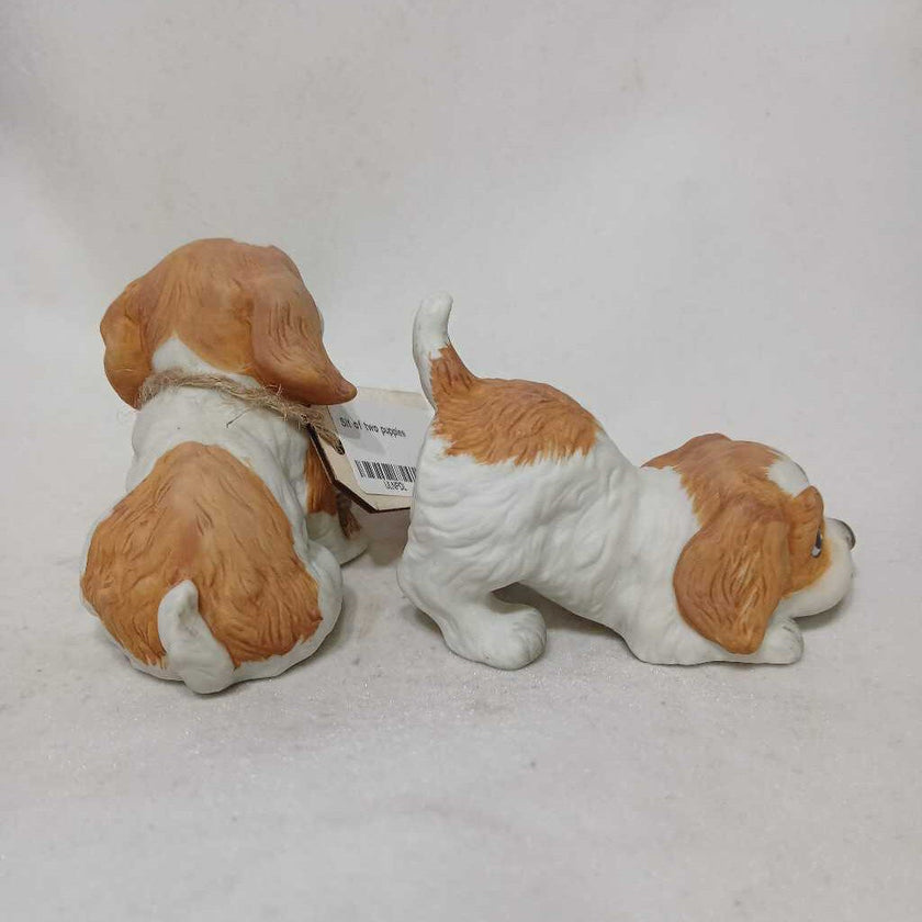 Sit of two puppies