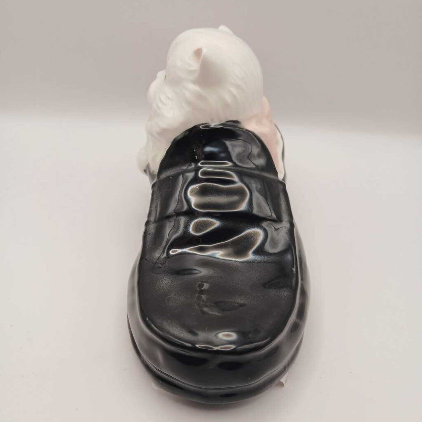 Cat in Shoe
