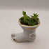 Victorian Boot Porcelain w/Succulent