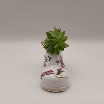 Purple Flower Porcelain Boot w/ Succulent