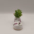 Purple Flower Porcelain Boot w/Succulent