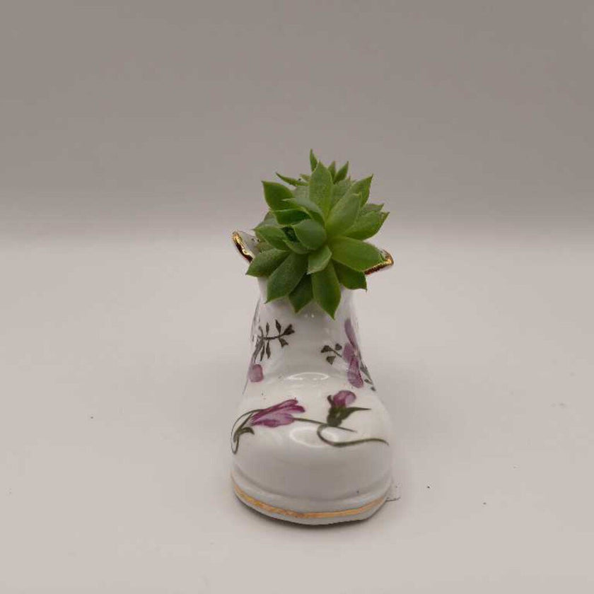 Purple Flower Porcelain Boot w/Succulent