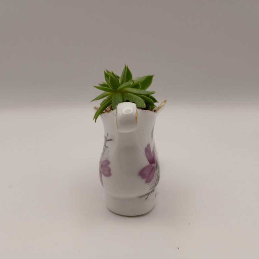 Purple Flower Porcelain Boot w/Succulent