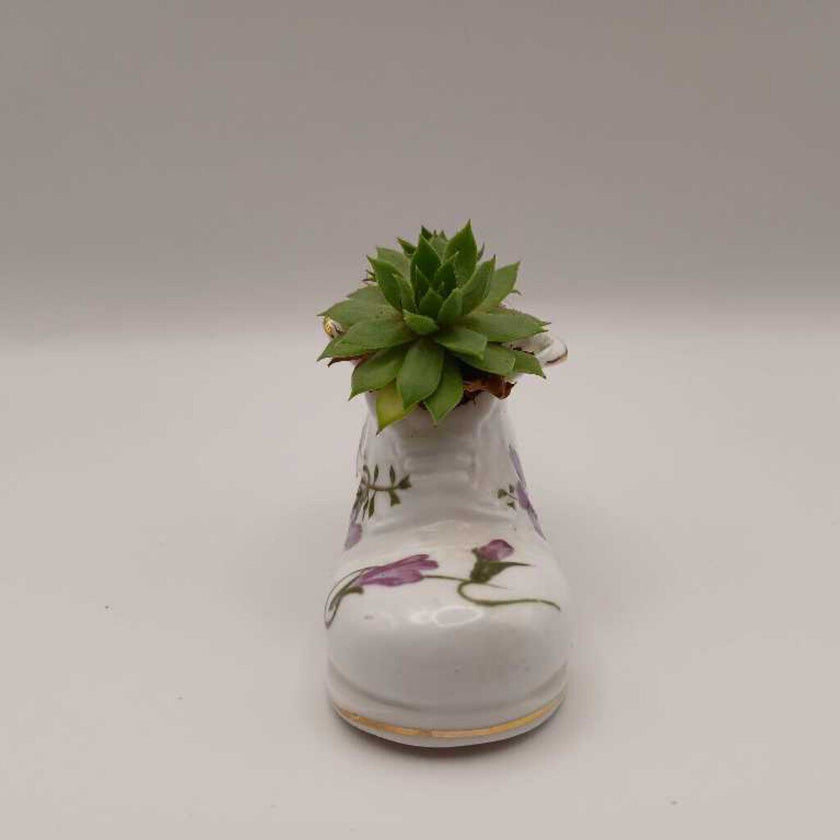 Purple Flower Porcelain Boot w/ Succulent