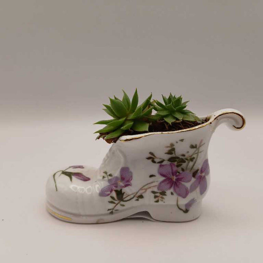 Purple Flower Porcelain Boot w/Succulent