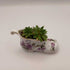 Purple Flower Porcelain Boot w/Succulent