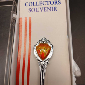 Texas Lone Star State Spoon