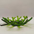 Green Glass Coral Shaped Bowl