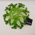 Green Glass Coral Shaped Bowl