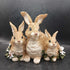 3 BUNNIES