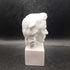 Lipper & Mann Porcelain Chopin Bust