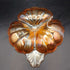 Jeannette Glass Marigold Shamrock Candy Dish