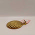 Small Brass Shell Hook