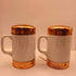 Vintage MCM Salt and Pepper Set Copper Tops (P)