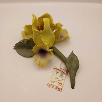 Capodimonte iris