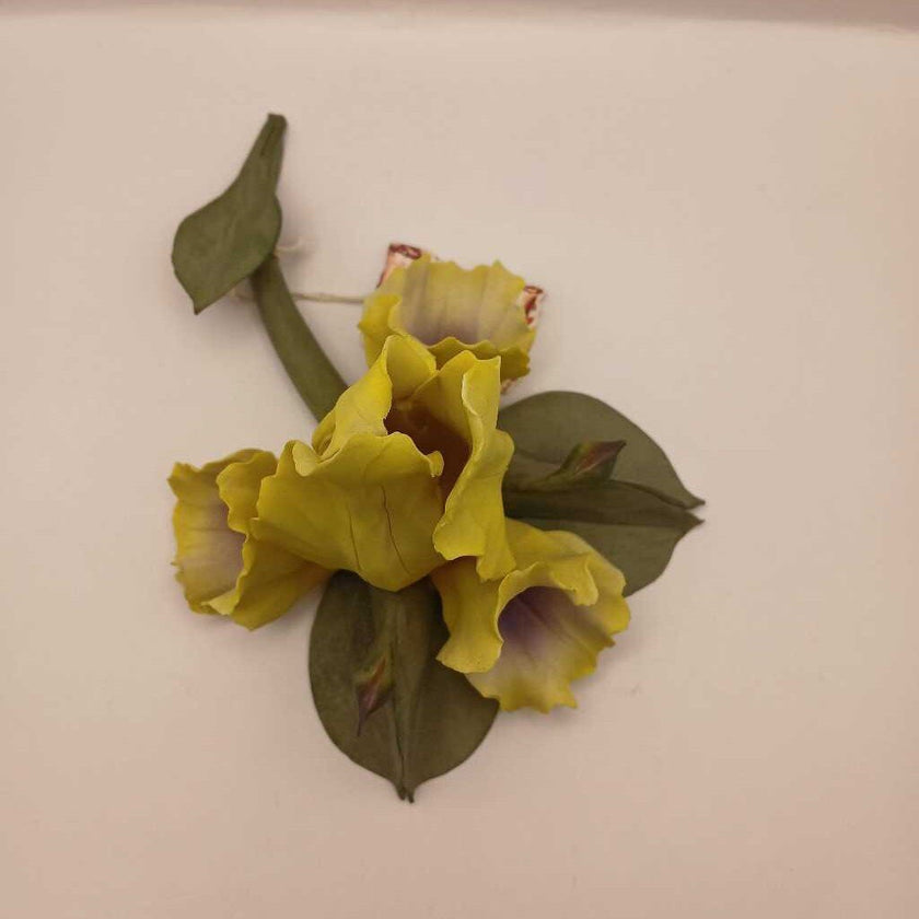 Capodimonte iris