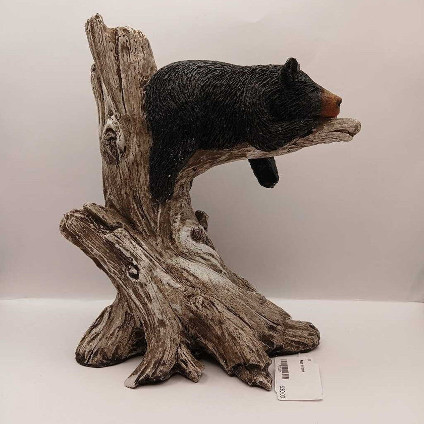Bear in tree