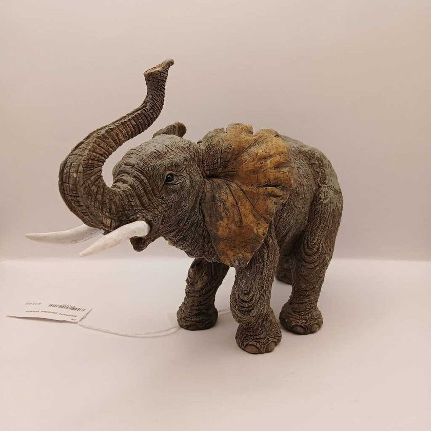 Elephant, Detailed Wildlife