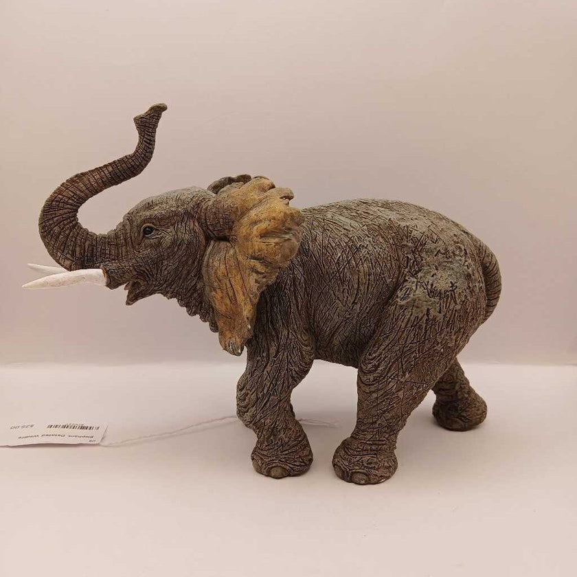 Elephant, Detailed Wildlife