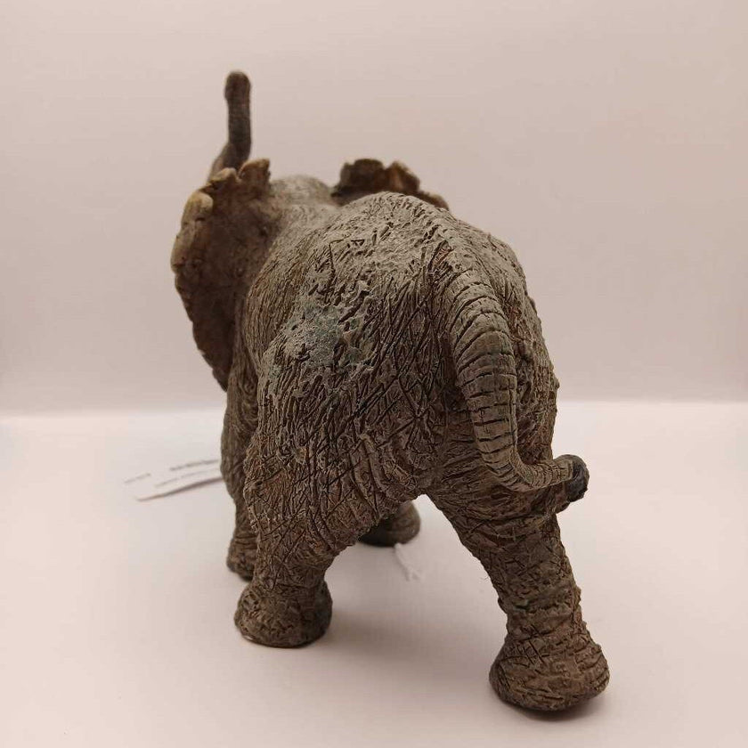 Elephant, Detailed Wildlife