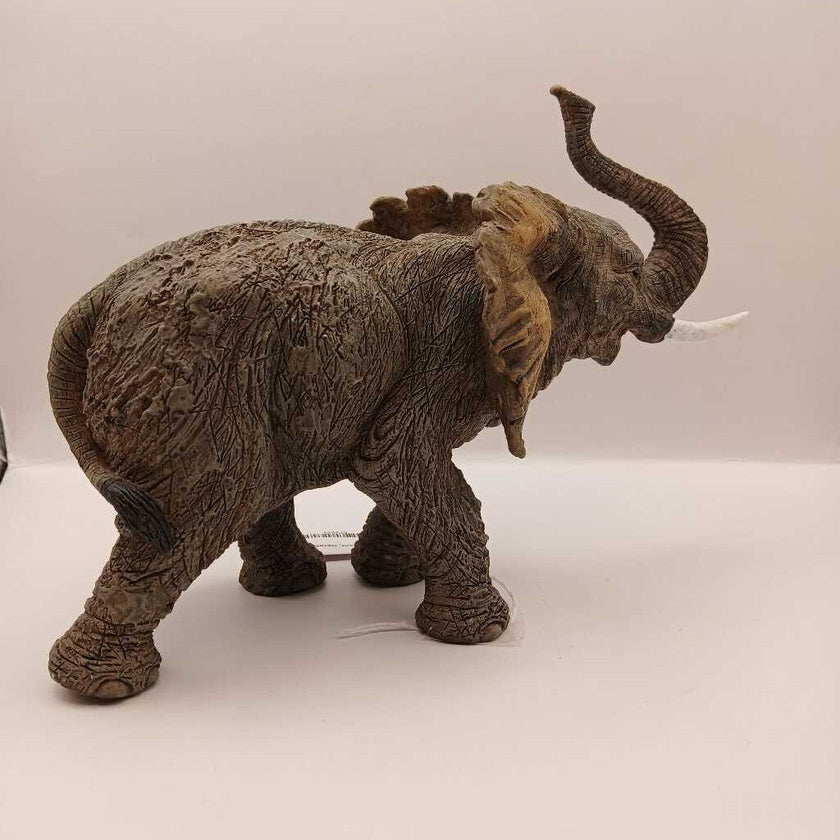 Elephant, Detailed Wildlife