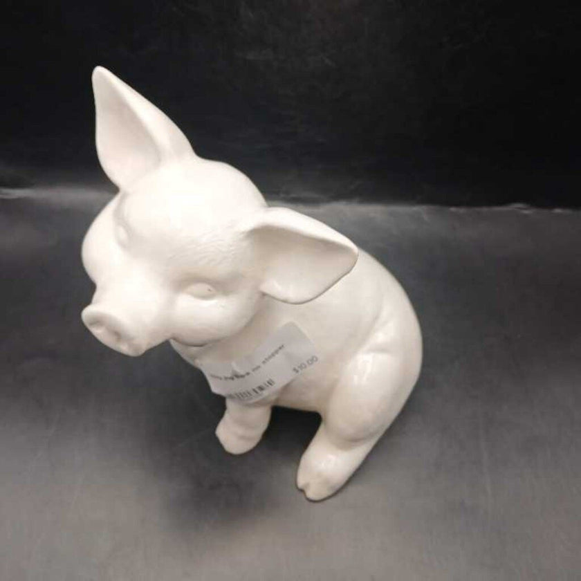 White Pig Bank no stopper