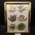 Solid Brass 8x10 Vintage Fram with Vintage Succulent Print