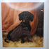 Vintage Square Bamboo Style Frame & Dachshund Print